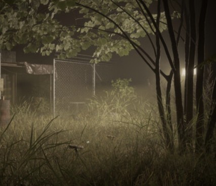 Welcome to the chilling realm of Slenderman: Shadow of the Forest, a survival horror game designed to accelerate your pulse and plunge you into a sinister wilderness where shadows whisper secrets of dread. As night descends, you find yourself lost within a dense, foreboding forest. Your ultimate goal? To escape this dark thicket by either repairing an abandoned vehicle or finding another means to salvation.